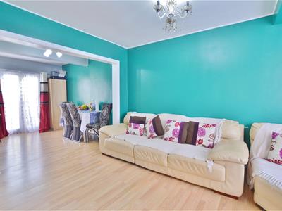 Picture 7